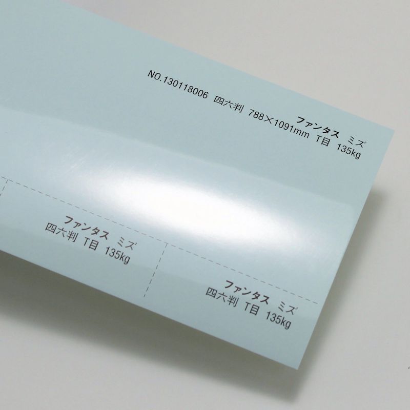 【取寄】ファンタス<135kg> ミズ