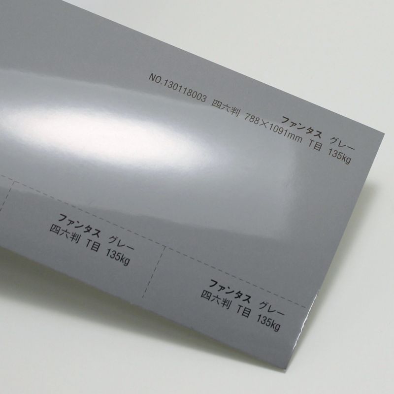 【取寄】ファンタス<135kg> グレー