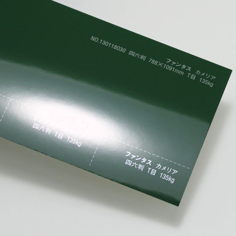 【取寄】ファンタス<135kg> カメリア