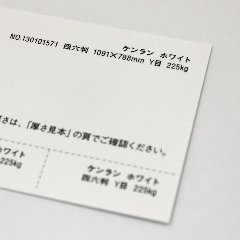 【取寄品】 ケンラン <265kg> ホワイト