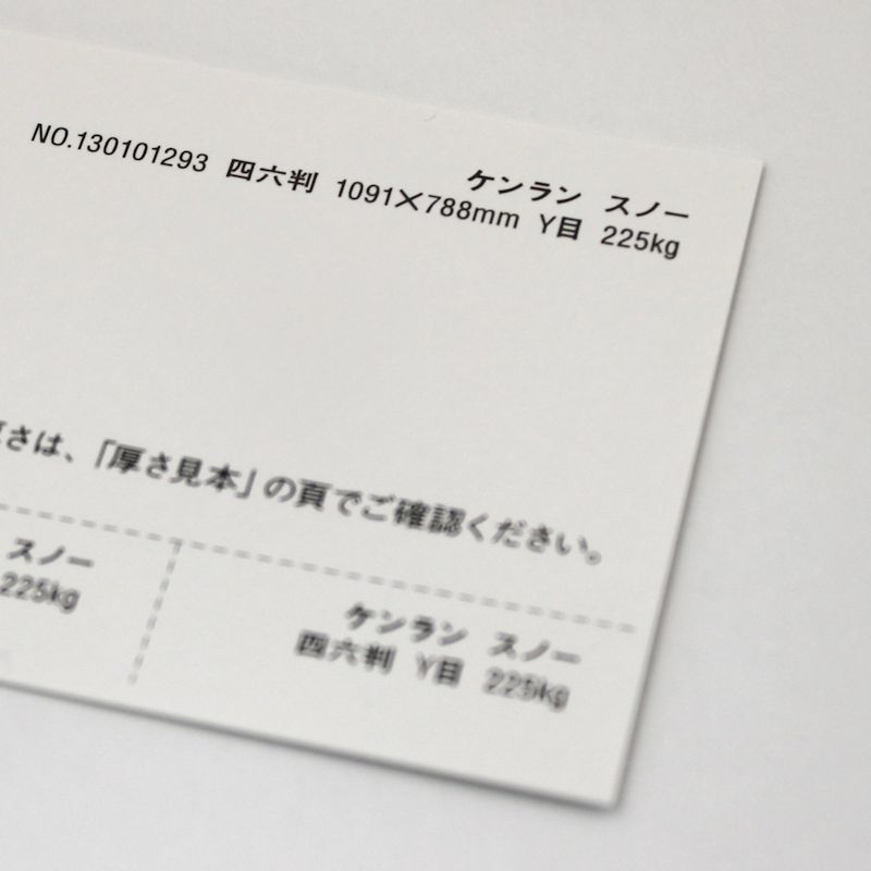 【取寄品】 ケンラン <135kg> スノー