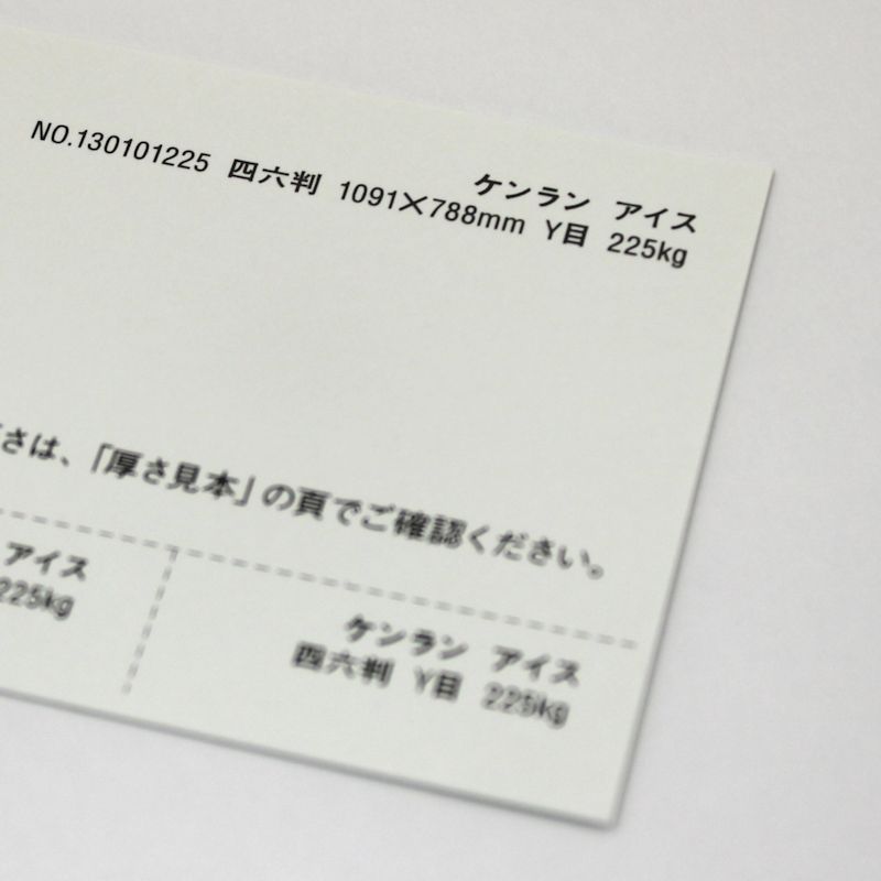 【取寄品】 ケンラン <265kg> アイス