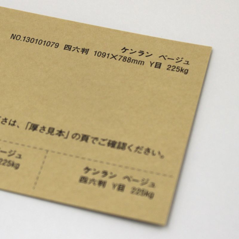 【取寄品】 ケンラン <135kg> ベージュ