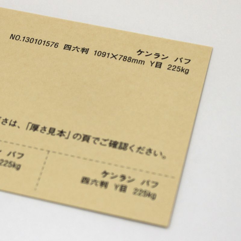 【取寄品】 ケンラン <225kg> バフ