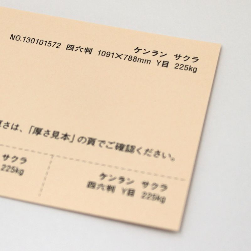【取寄品】 ケンラン <135kg> サクラ