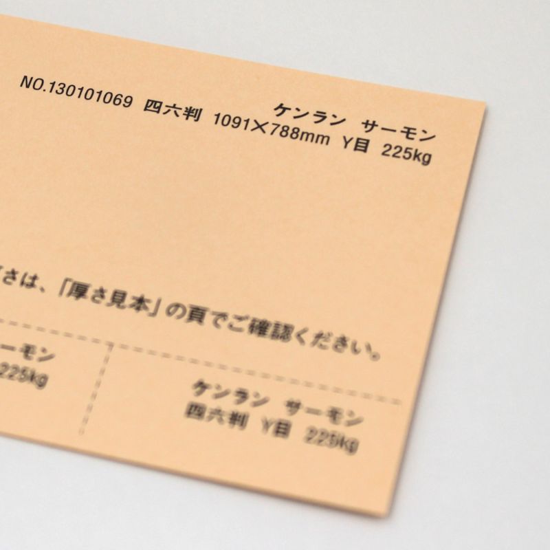 【取寄品】 ケンラン <225kg> サーモン