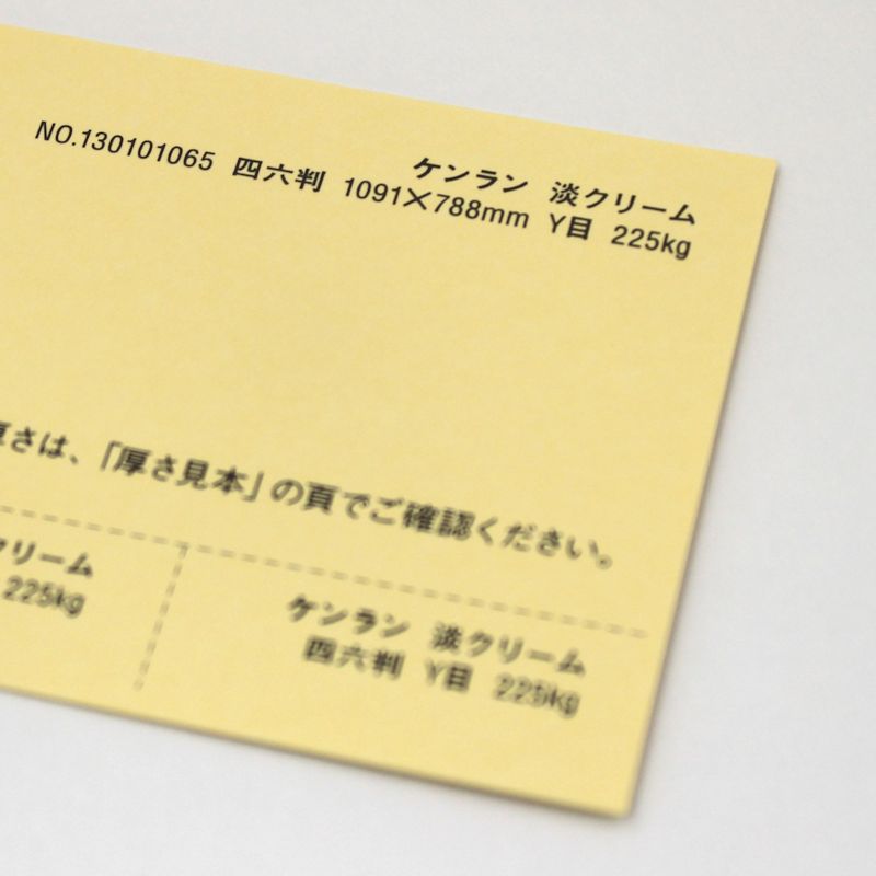 【取寄品】 ケンラン <400kg> 淡クリーム