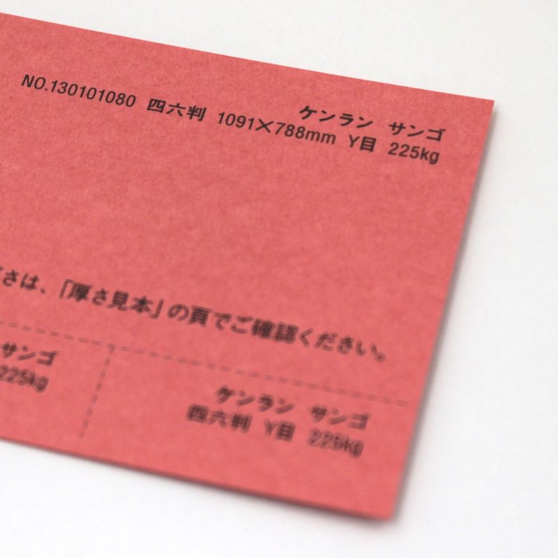 【取寄品】 ケンラン <360kg> サンゴ