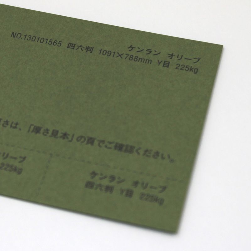 【取寄品】 ケンラン <135kg> オリーブ