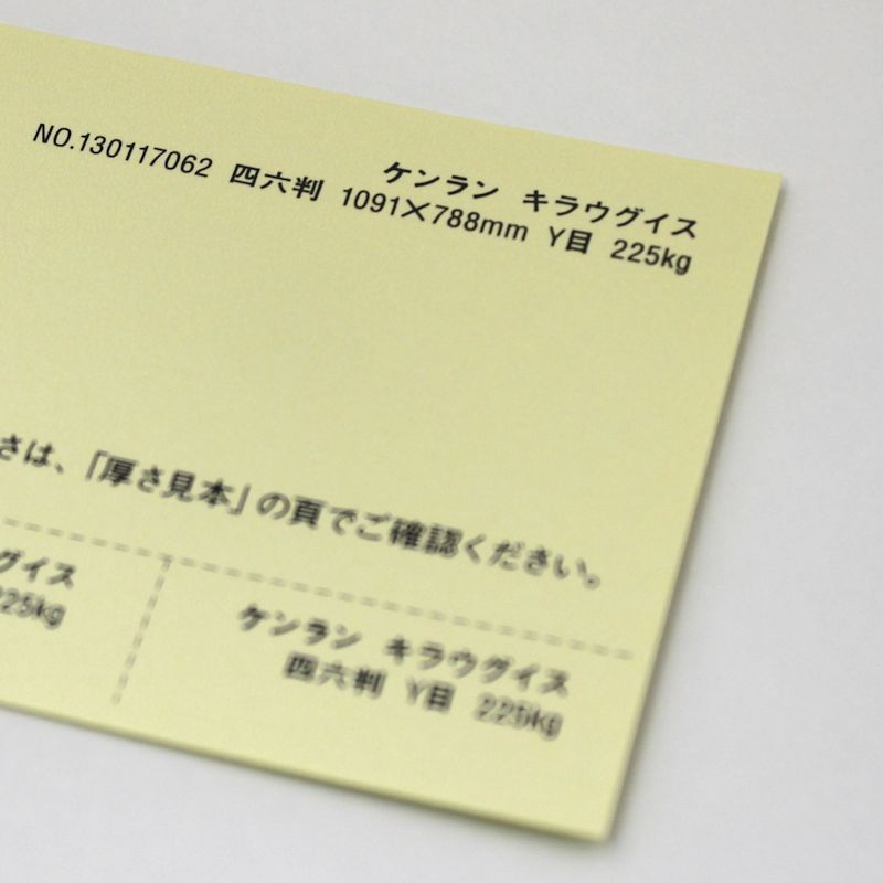【取寄品】 ケンラン <135kg> キラウグイス
