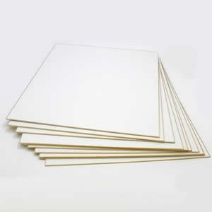 色紙 No.1000 画仙金縁 F6サイズ