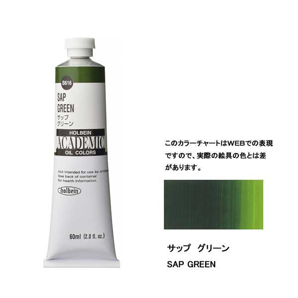 ホルベイン油絵具 ACADEMIC  B616 サップグリーン 【60ml×3本入】