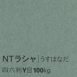NTラシャ <100kg> うすはなだ