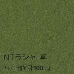 NTラシャ <100kg> 草