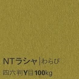 NTラシャ <100kg> わらび