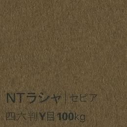 NTラシャ <100kg> セピア