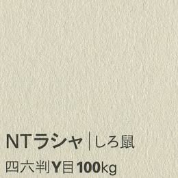 NTラシャ <100kg> しろ鼠