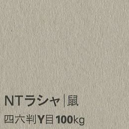 NTラシャ <100kg> 鼠