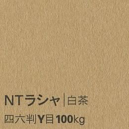 NTラシャ <100kg> 白茶