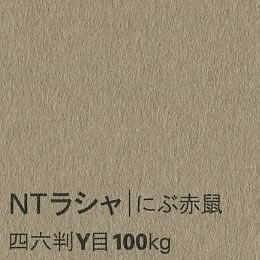 NTラシャ <100kg> にぶ赤鼠