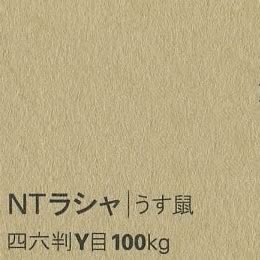 NTラシャ <100kg> うす鼠