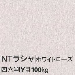 NTラシャ <100kg> ホワイトローズ