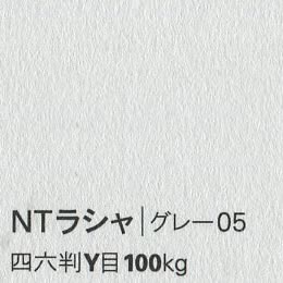NTラシャ <100kg> グレー05