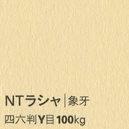 NTラシャ <100kg> 象牙