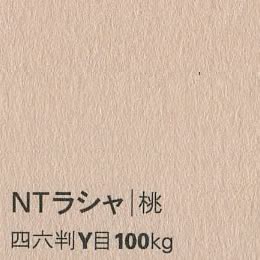 NTラシャ <100kg> 桃