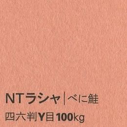 NTラシャ <100kg> べに鮭