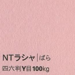 NTラシャ <100kg> ばら