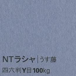 NTラシャ <100kg> うす藤