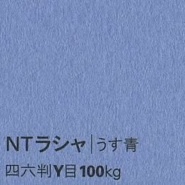 NTラシャ <100kg> うす青