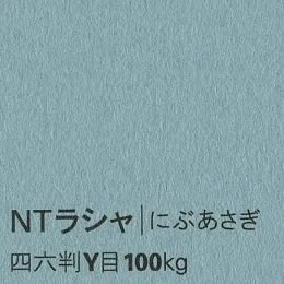 NTラシャ <100kg> にぶあさぎ