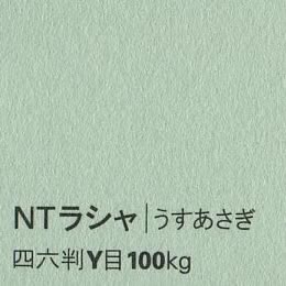 NTラシャ <100kg> うすあさぎ