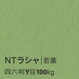 NTラシャ <100kg> 若葉