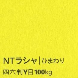 NTラシャ <100kg> ひまわり