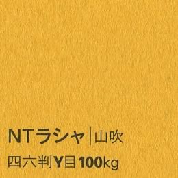 NTラシャ <100kg> 山吹