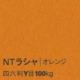 NTラシャ <100kg> オレンジ