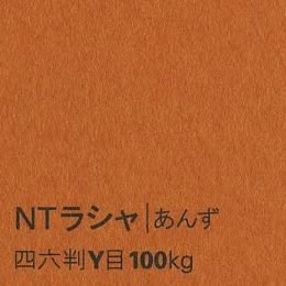 NTラシャ <100kg> あんず