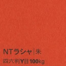 NTラシャ <100kg> 朱