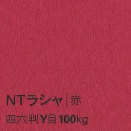 NTラシャ <100kg> 赤