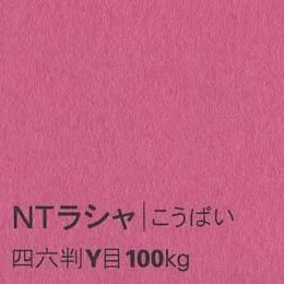 NTラシャ <100kg> こうばい