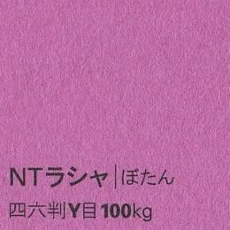 NTラシャ <100kg> ぼたん