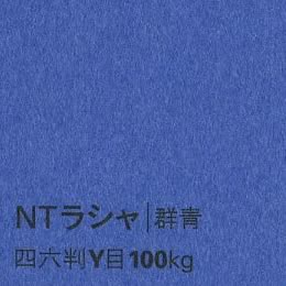 NTラシャ <100kg> 群青