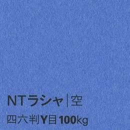 NTラシャ <100kg> 空