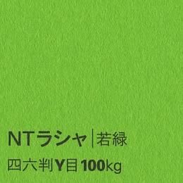 NTラシャ <100kg> 若緑