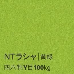 NTラシャ <100kg> 黄緑