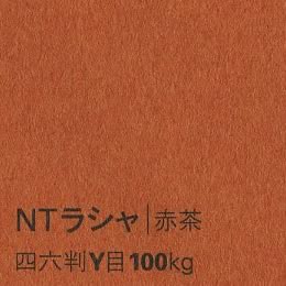 NTラシャ <100kg> 赤茶