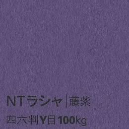 NTラシャ <100kg> 藤紫